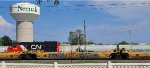 DTTX 74598